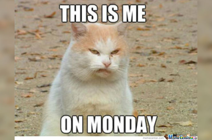 Monday Meme