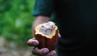 15 Inspiring Quotes About Family And Friends | LifeDaily