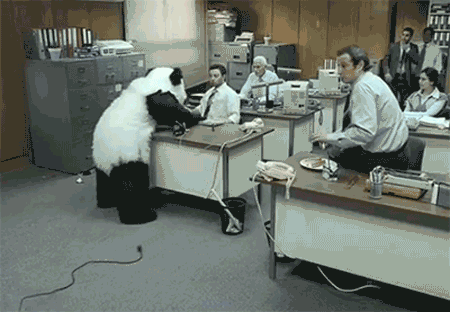 pandaatwork.gif