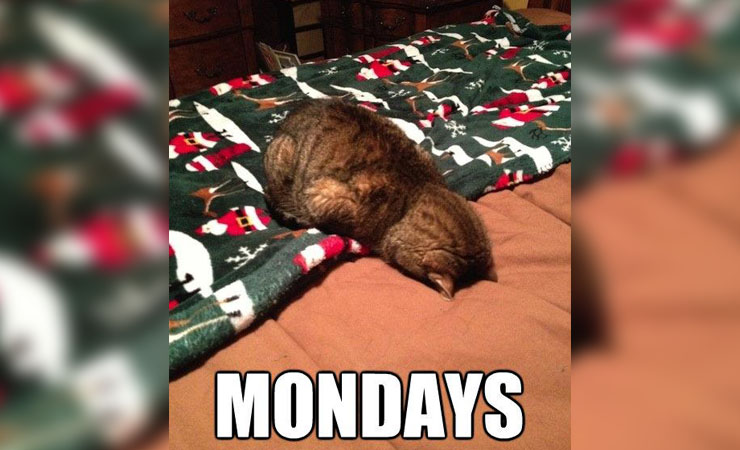 Monday Meme