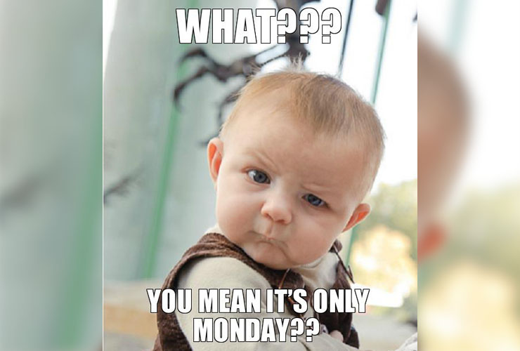 Monday Meme